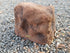 Memorial Rock Urn 1684 Large Brown