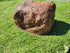 Memorial Rock Urn 1855 Regular Brown