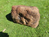 Memorial Rock Urn 1856 Regular Brown