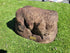 Memorial Rock Urn 1857  Medium Brown