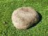 Partial Ash Rock Urn PA 1880 Natural Riversand