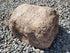 Memorial Rock Urn 2040 Regular Natural Riversand