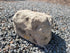 Memorial Rock Urn 2041 Regular Natural Riversand