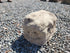 Memorial Rock Urn 2041 Regular Natural Riversand