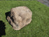 Memorial Rock Urn 2173 Medium Natural Riversand