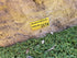 Memorial Rock Urn 2174 Medium Natural Riversand