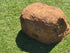 Memorial Rock Urn  2188 Regular Sandstone