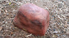 Memorial Rock Urn 1102 Large Single Red