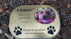 Pet Memorial Marker 1130 with Photo Outdoor Plastic Plaque 312 mm x 222 mm