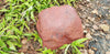 Large Double Memorial Rock Urn 1168  Red