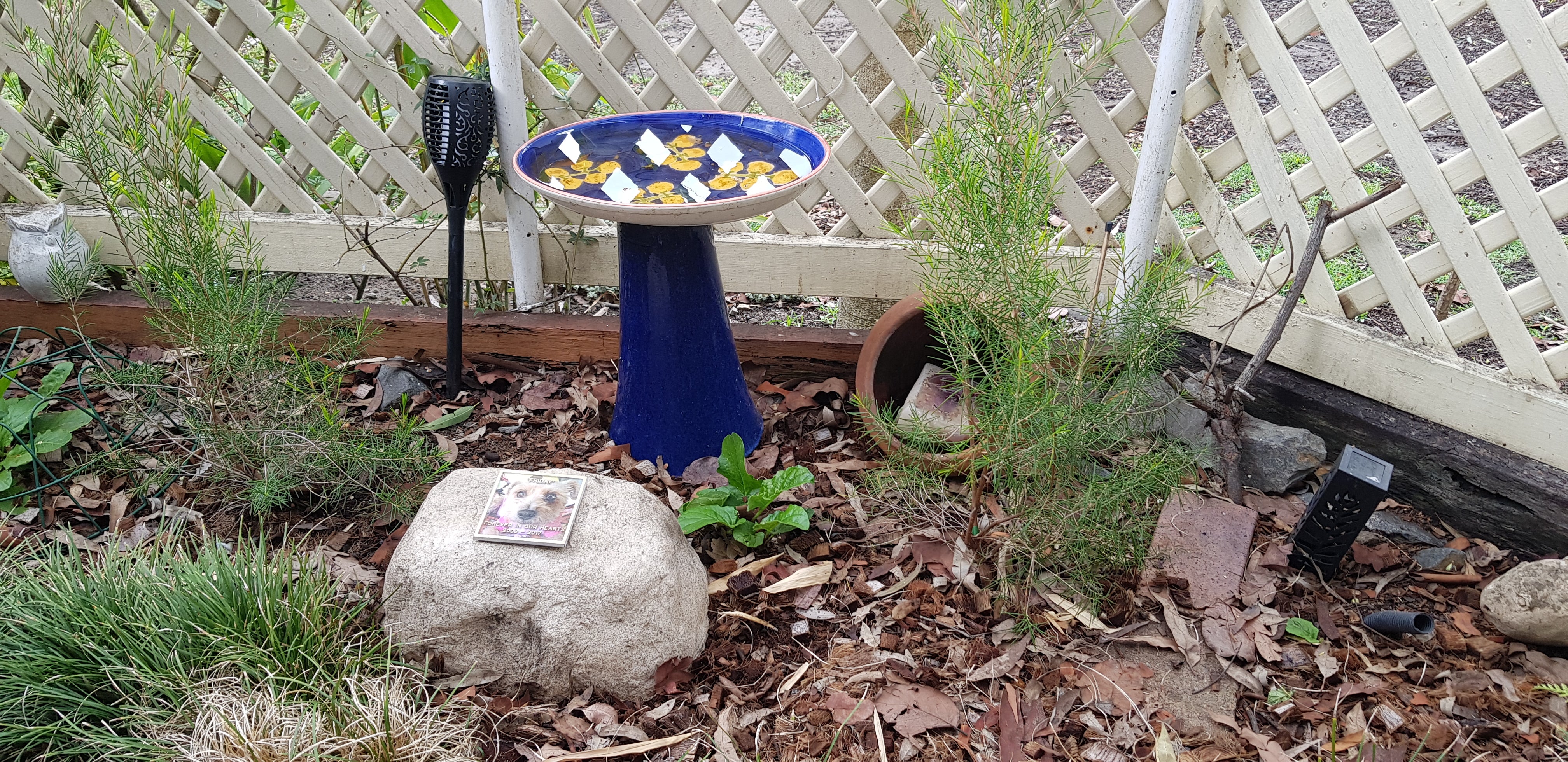 PET Memorial Rock Urn 1173