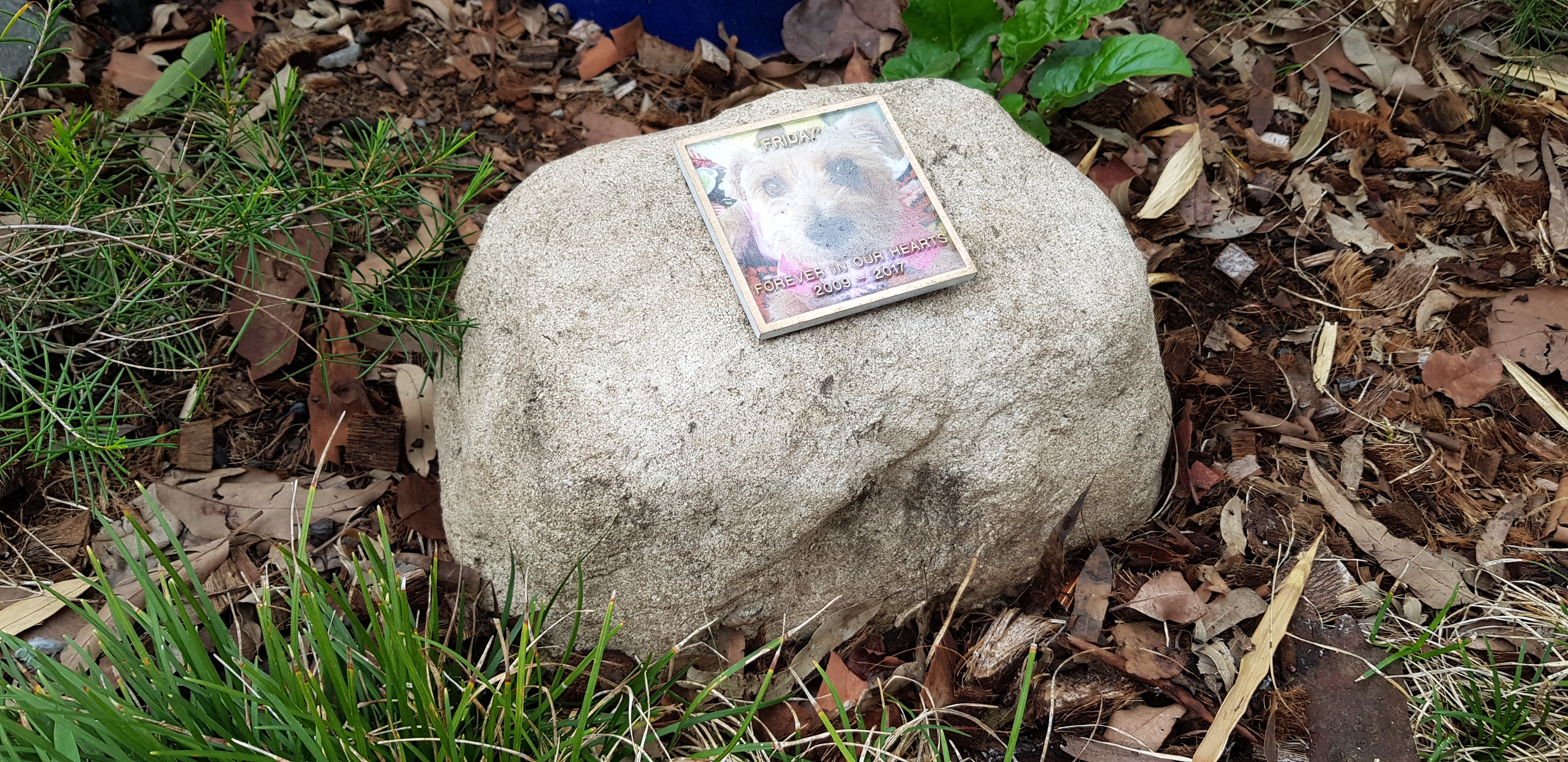 PET Memorial Rock Urn 1173