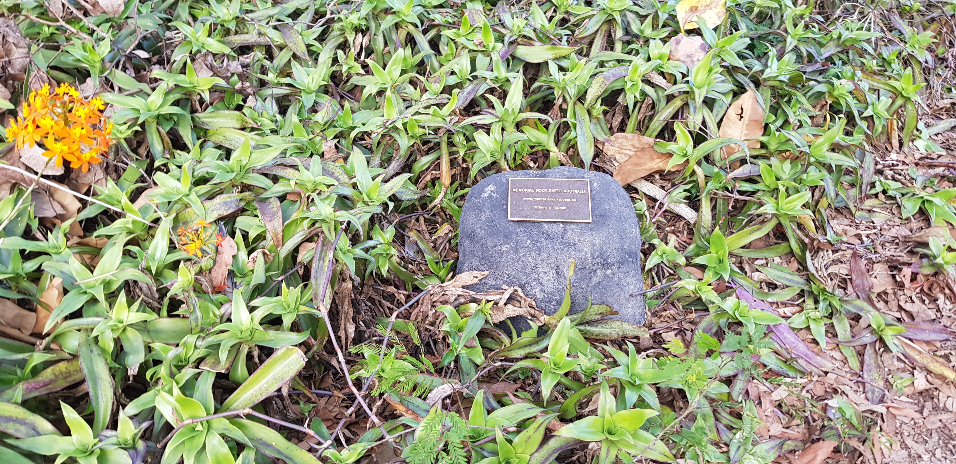 urn for cremated ashes