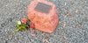 Memorial Rock Urn 1278  Large Single Red