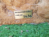 Memorial Rock Urn 1636  Large Sandstone