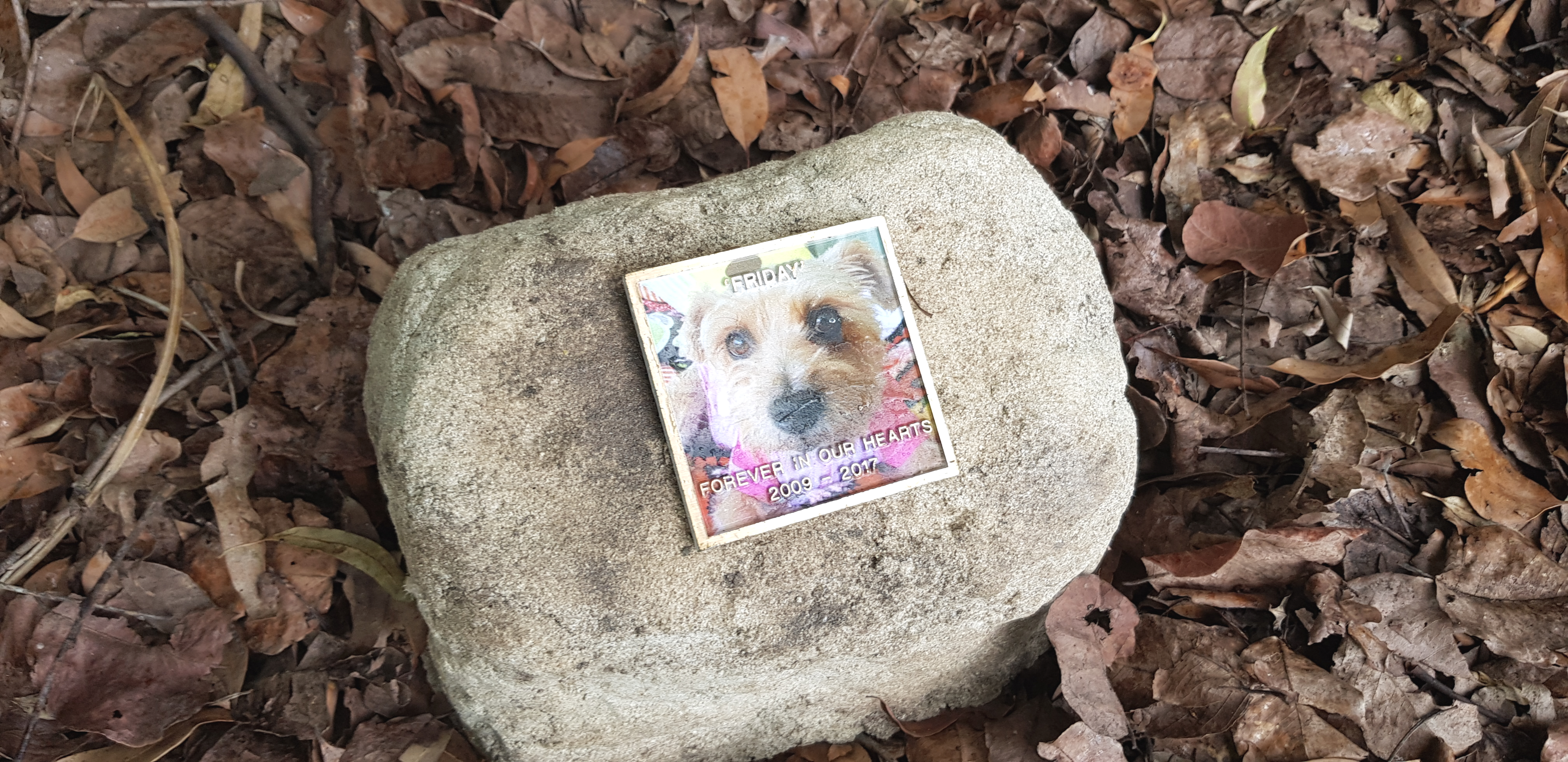 PET Memorial Rock Urn 1200