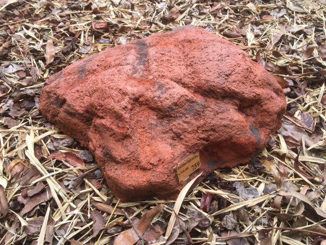 Memorial Paver Stone 759 (Not an Urn) Outback Red Series (not including plaque)